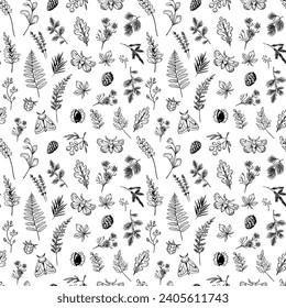 Forest plants and herbs, moths, spruce branches. Seamless pattern design, Doodle vector illustration