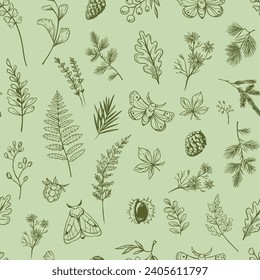 Forest plants and herbs, moths, spruce branches. Seamless pattern design, Doodle vector illustration