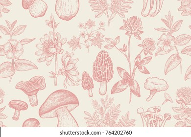 Mushroom Wallpaper Images  Free Photos PNG Stickers Wallpapers   Backgrounds  rawpixel