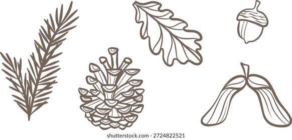 Plantas forestales cono de pino y hoja de Vector línea de arte madera de tinta doodle Elementos Clip ilustración de arte conjunto