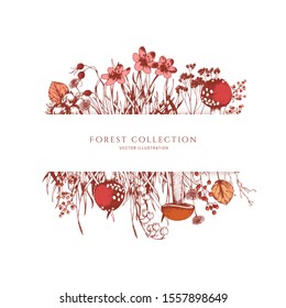 Forest plants stationery frame. Vector collection of lily of the valley, mulberry, berry, grass, hazelnut,mushrooms. Hand drawn sketch.