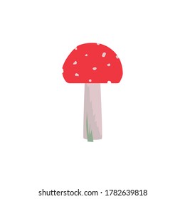 Forest poisonous mushroom Amanita. Isolated element on white background. Vector image. For infographics, presentation, banner, poster, postcard and decorative decoration
