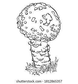 Forest poisonous mushroom Amanita Pantherina non-edible in line art style. Fly agaric vector illustration isolated on a white background. Coloring book page. Symbol of witchcraft, esotericism