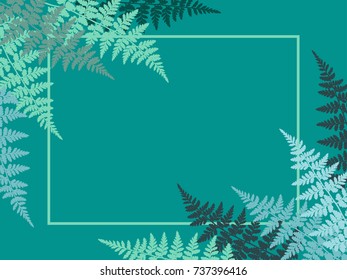 Forest polypodiophyta plant leaves decorative background and rectangular horizontal frame. Detailed silver fern image, tropical forest herbs, fern frond grass rectangle border.