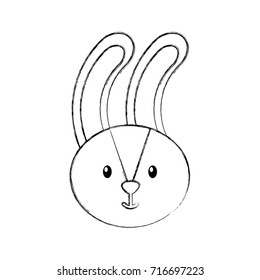 forest rabbit animal wild fauna natural