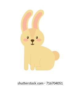 forest rabbit animal wild fauna natural