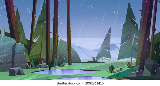 Forest at raining day scenery landscape. Tranquil nature with fir-trees, rocks and rain drops, puddles on ground, summer wood Cartoon vector illustration