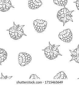 Forest raspberry isolated on white background. Vector silhouette drawing. Handwork. Seamless pattern
