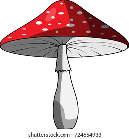 A forest red toadstool