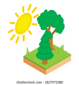 Forest resources icon. Isometric illustration of forest resources vector icon for web