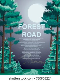 A forest road with coniferous trees along the edges