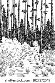 Forest road graphic black white vertical landscape sketch illustration vector