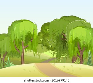 Forest road. Summer landscape. Dense foliage. Views of hills and green trees. Cartoon flat style. Light foggy thickets. Nature illustration. Trunks of trees. Vector