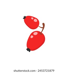 Forest rosehip berries. Wild fruits, forest flora and fauna cartoon vector illustration