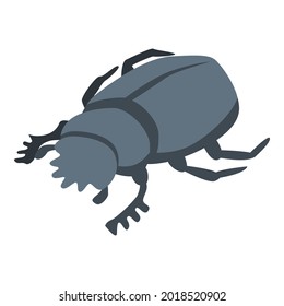 Forest scarab icon. Isometric of forest scarab vector icon for web design isolated on white background