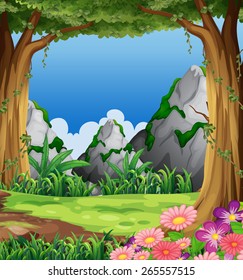 Forest scene at day time with flowers and mountain