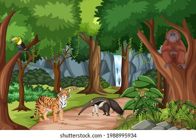 Forest scene with different wild animals  illustration