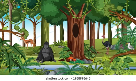 Forest scene with different wild animals  illustration