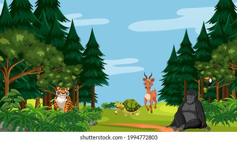 Forest scene with different wild animals  illustration