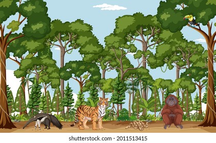 Forest scene with different wild animals  illustration