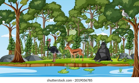 Forest scene with different wild animals  illustration