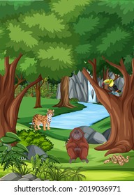 Forest scene with different wild animals  illustration