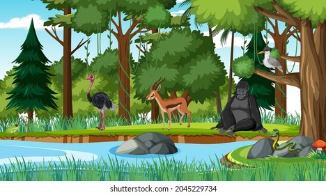 Forest scene with different wild animals  illustration