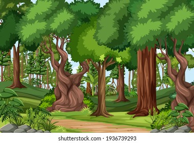 Forest scene with hiking track and many trees illustration