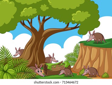 Forest scene with many anteaters illustration