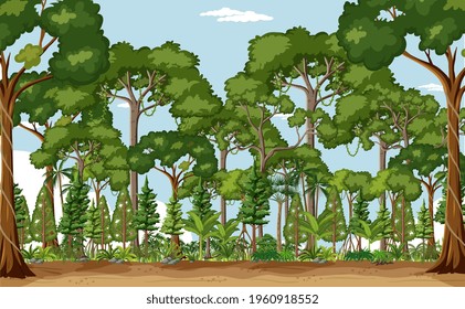 Forest scene with many trees at day time illustration
