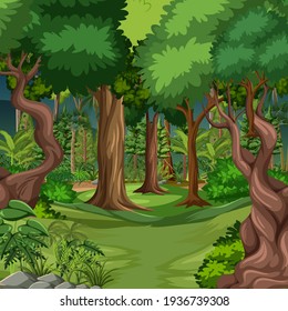 Forest Scene With Many Trees Illustration