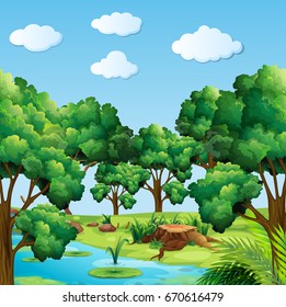 Escenario forestal con muchos árboles e ilustración de ríos