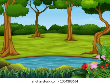Forest scene with many trees and small pond
