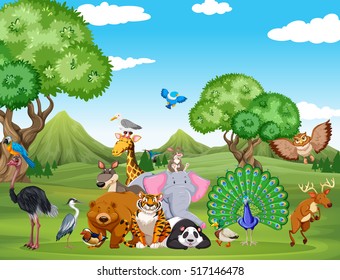 Forest Animals Clipart Images Stock Photos Vectors Shutterstock