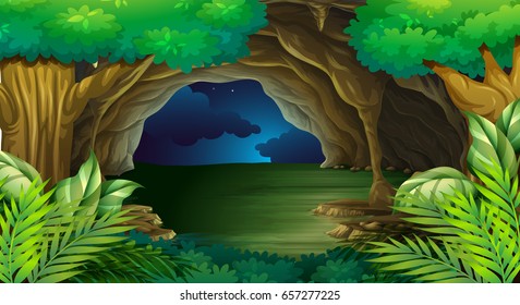 Forest scene at night time illustration