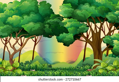 Forest scene with a rainbow background