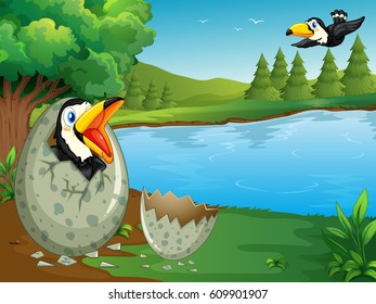 Forest scene with toucan hatching egg  illustration