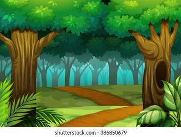 Forest scene with trail in the woods illustration