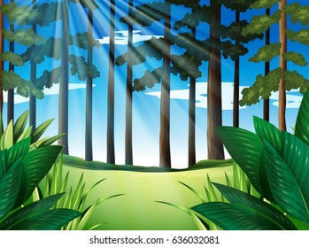 Forest scene with trees at daytime illustration