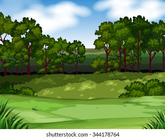 Forest scene with trees and field illustration