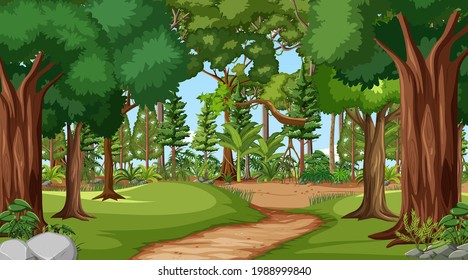 Escena forestal con varias ilustraciones de árboles forestales