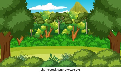 Forest scene with various forest trees  illustration