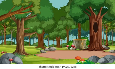 Forest scene with various forest trees  illustration