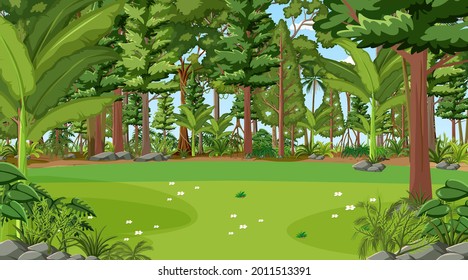 Forest scene with various forest trees illustration