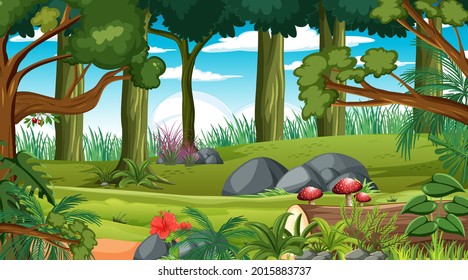 Forest Scene Various Forest Trees Illustration Stock Vector (Royalty ...