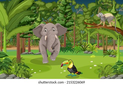 Forest scene with various wild animals illustration