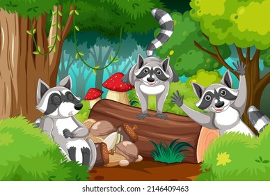 Forest scene wtih three raccoons on the log illustration