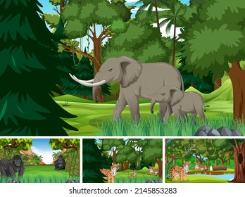 Forest scenes with wild animals in the forest illustration
