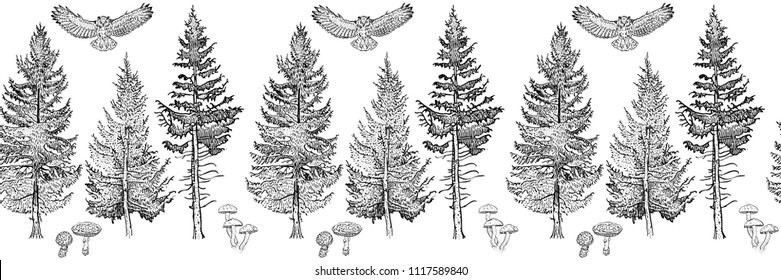 Forest seamless border ornament: spruce, fir tree, mushrooms, owl. Endless horizontal pattern brush. Isolated elements for invitation, greeting card, pattern design, poster, decoration, textile print.
