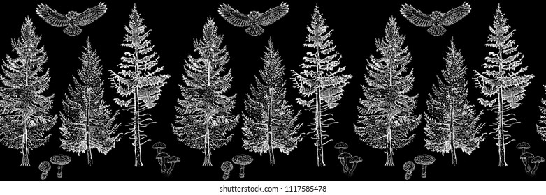 Forest seamless border ornament white: fir trees, mushrooms, owl. Endless horizontal pattern brush. Isolated elements for invitation, greeting card, pattern design, poster, decoration, textile print.